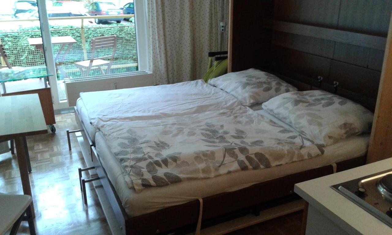 شقة Vintage Garconiere Mit Balkon - 25 M2 غموندين المظهر الخارجي الصورة